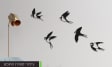 תמונת ציפורי סנונית החופש Image