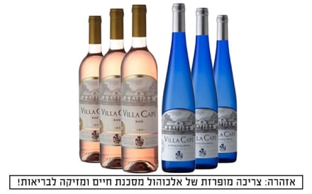 6 בקבוקי יין במשלוח עד הבית